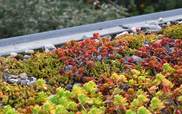 the cost of Haselbech green roof installation