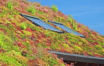 Haselbech living roof systems