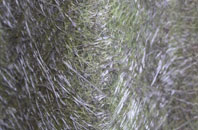 Haselbech fibreglass roof work